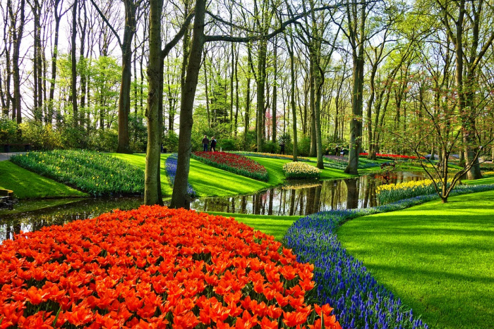 Keukenhof - 959 Keukenhof - 959